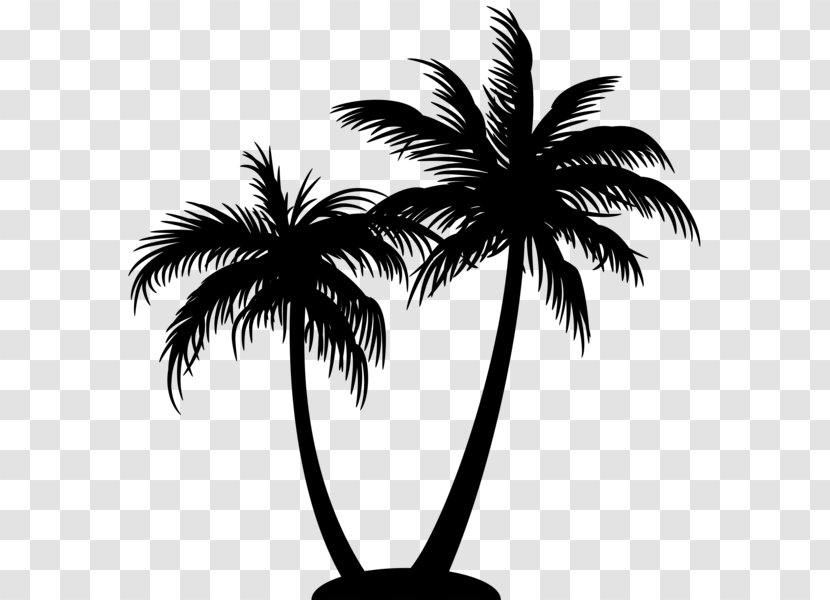 Silhouette Drawing Clip Art - Arecaceae Transparent PNG