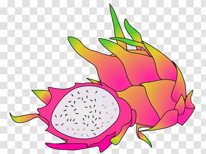 Fruit Pitaya Clip Art - Flower - Pomegranate Transparent PNG