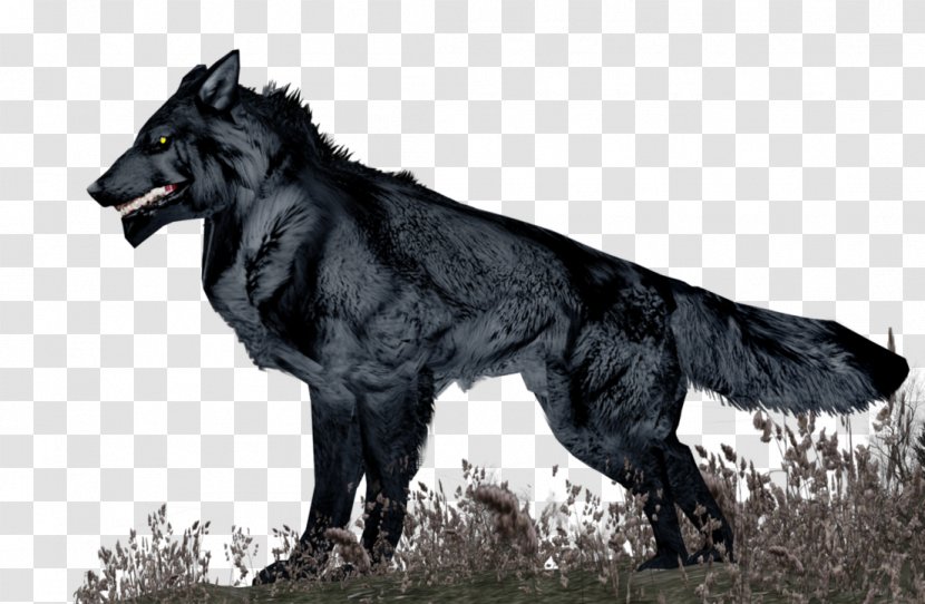 Gray Wolf Southern Luzon State University 9 August Fur Snout - Fauna - Sale Three Dimensional Characters Transparent PNG