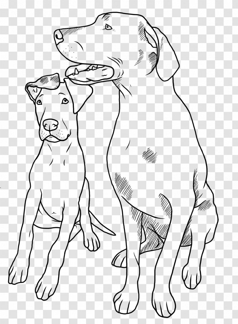 Great Dane Puppy Dog Breed Canidae Rainbow Bridge - Arm - Dehaan Transparent PNG