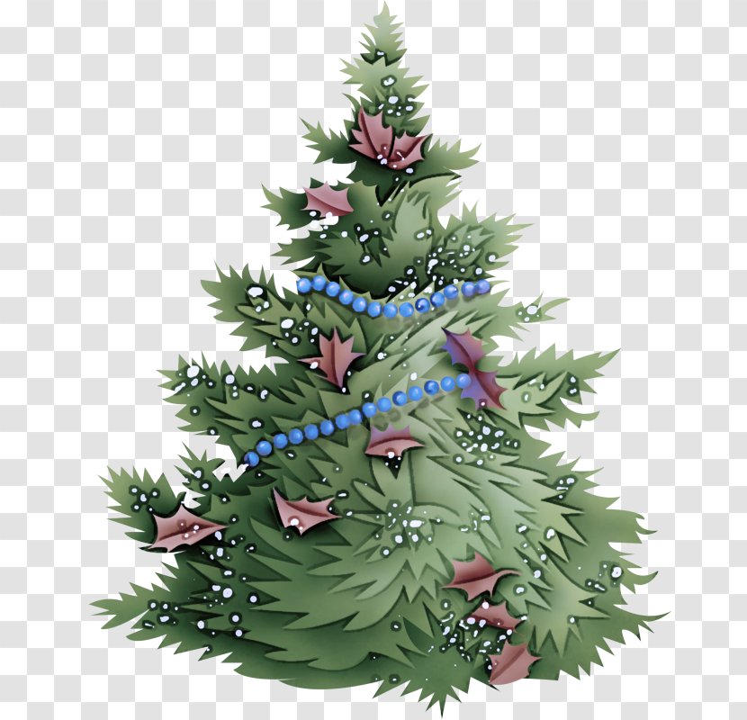 Christmas Tree - Shortleaf Black Spruce - Canadian Fir Oregon Pine Transparent PNG