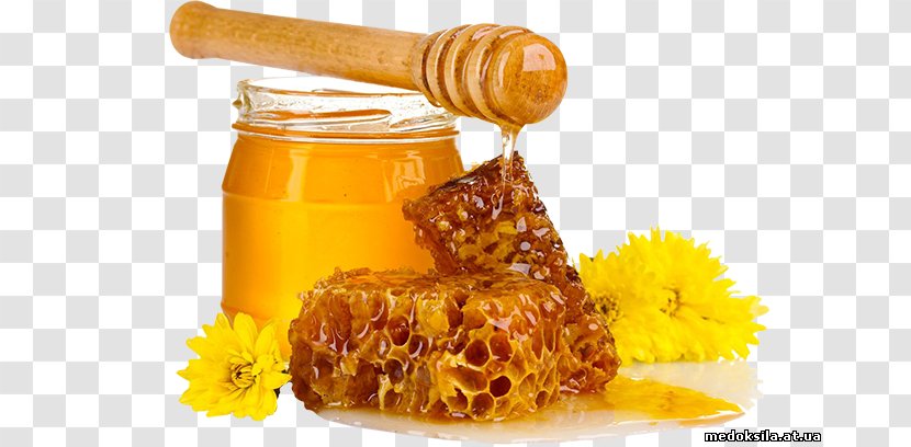 Honey Bee Breakfast Sugar Food - Beekeeper Transparent PNG