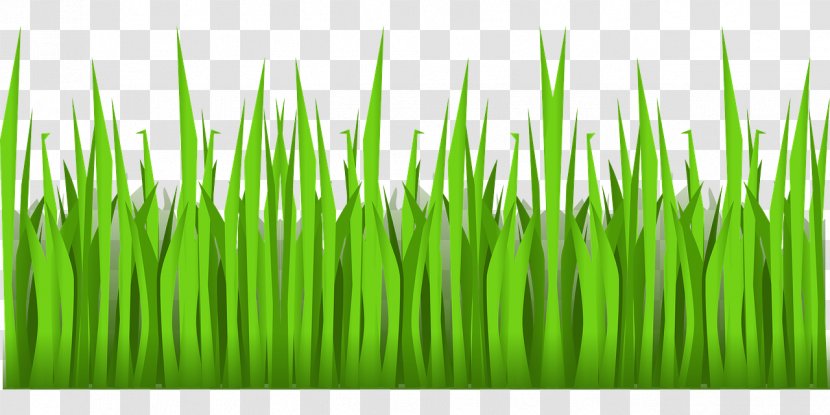 Lawn Clip Art - Garden - Grass Football Transparent PNG
