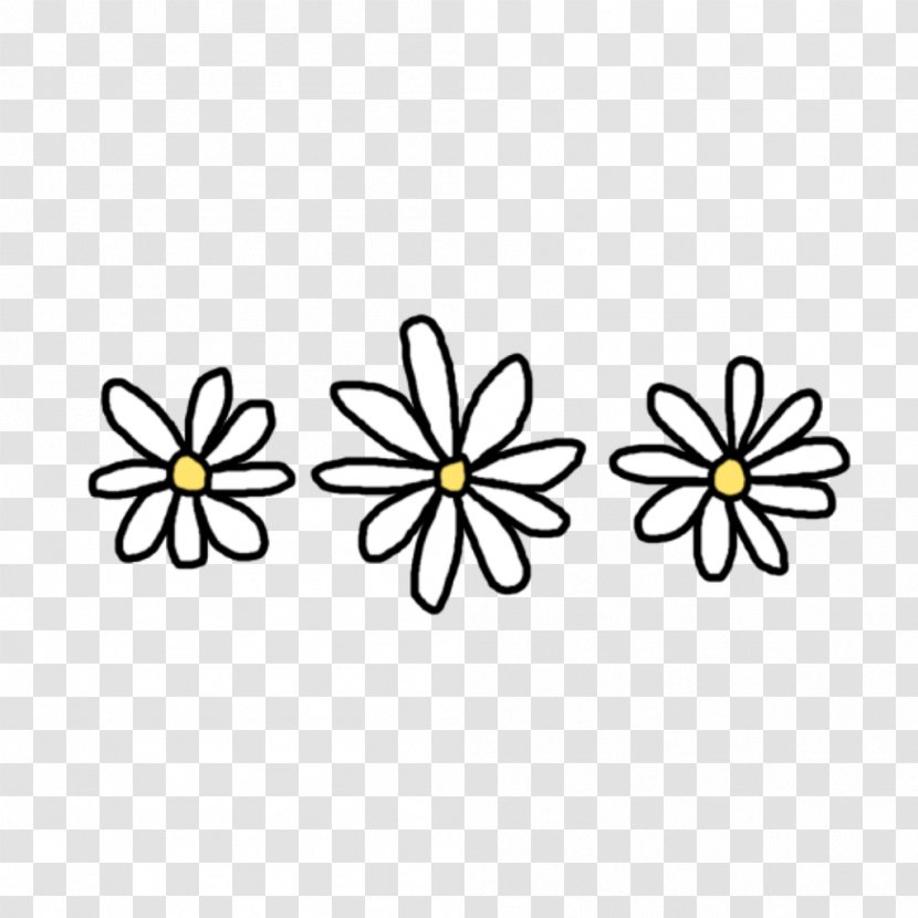 Common Daisy Clip Art Image Drawing Princess - Daisies - Flower Transparent PNG