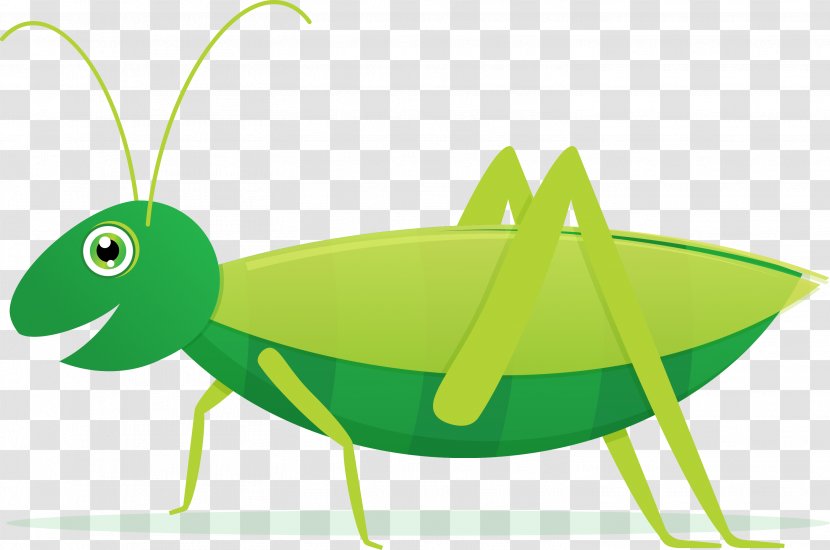 Grasshopper Stock Photography Royalty-free Clip Art - Invertebrate Transparent PNG