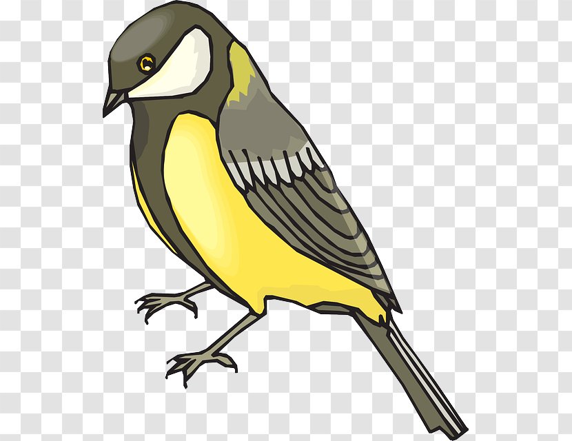 Iowa The Goldfinch American European Clip Art - Eurasian Golden Oriole - Cartoon Parrot Transparent PNG