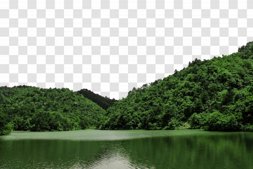 Daming Lake Thousand Buddha Mountain - Tree - Scenery Transparent PNG