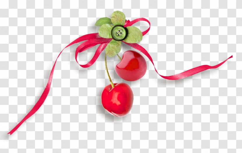 Christmas Ornament Fruit - Petal Transparent PNG