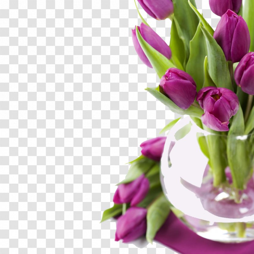 Tulip Flower High-definition Video Wallpaper - Flowerpot - Purple Tulips Transparent PNG