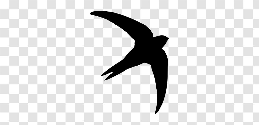 Common Swift Silhouette Bird Transparent PNG