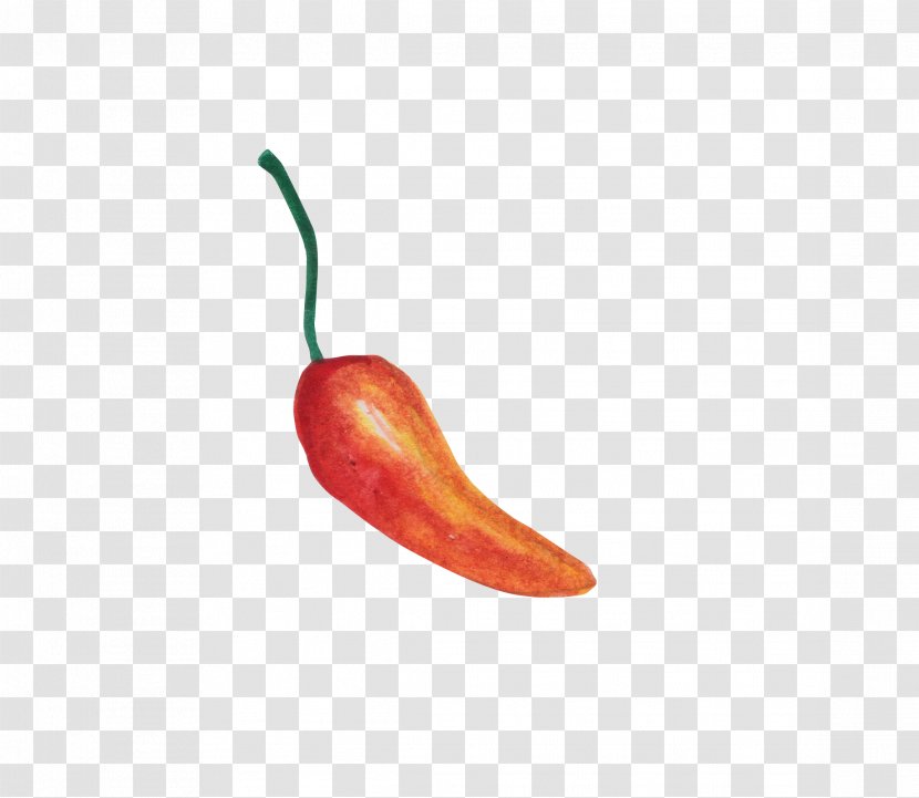 Tabasco Pepper Serrano Cayenne Vegetable - Peppers - Painted Transparent PNG