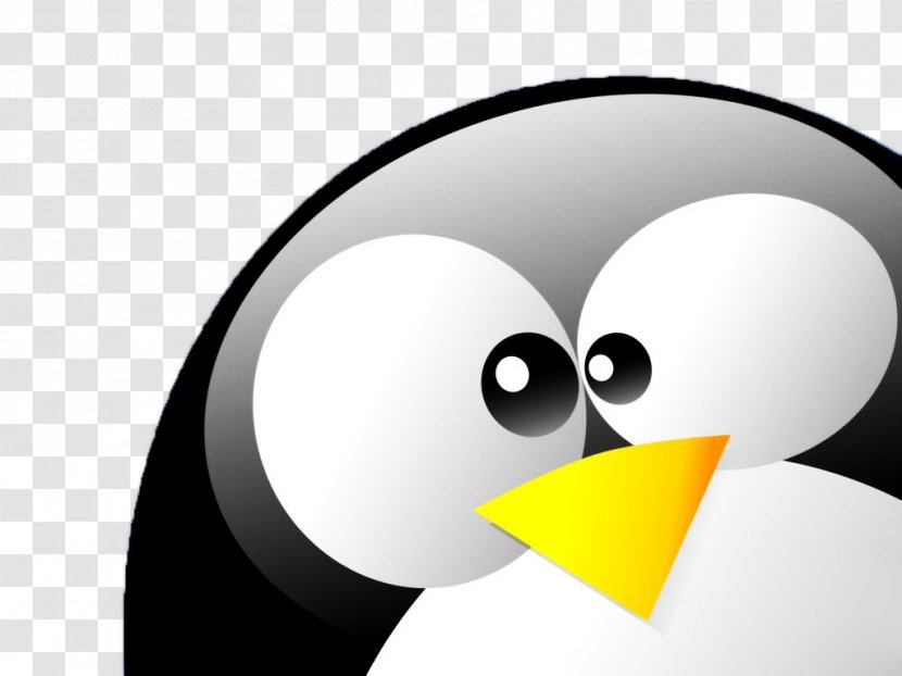 Tux Penguin Desktop Wallpaper Linux Foundation - Beak Transparent PNG