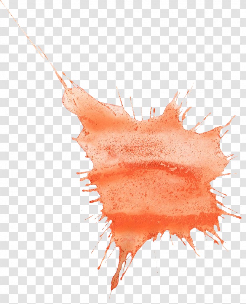 Watercolor Painting Art - Peach - Orange Transparent PNG