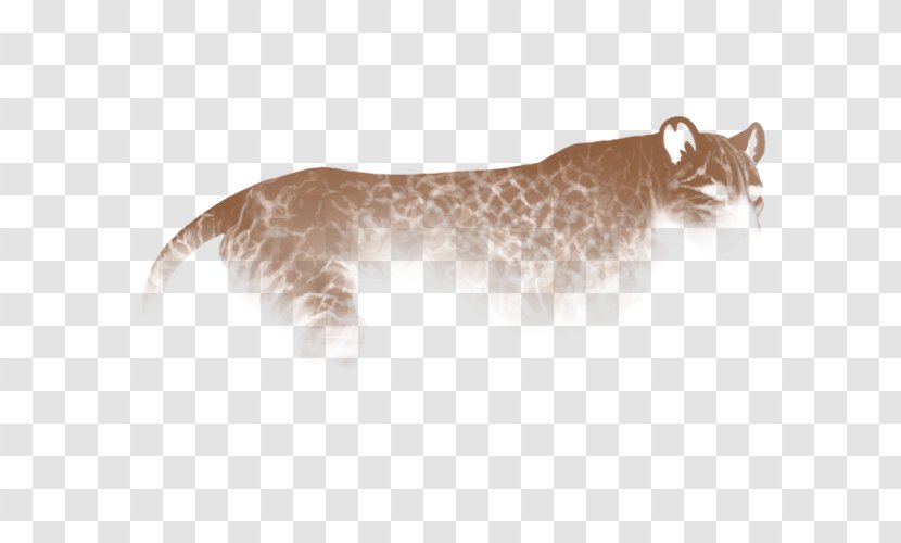 Cougar Bobcat Whiskers Wildcat - Cat Transparent PNG