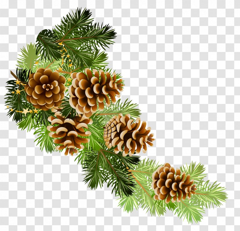 Scots Pine Conifer Cone Fir Clip Art - Christmas Decoration - Winter Transparent PNG