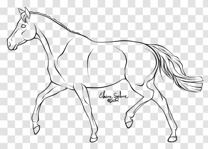 Mule How To Draw A Horse Trot Line Art Transparent PNG