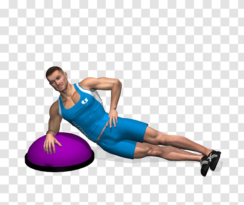 Plank Abdominal External Oblique Muscle Crunch Rectus Abdominis BOSU - Cartoon - Gym Ball Transparent PNG