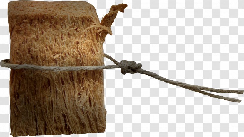 Wood Tree Stump Icon - Rope Transparent PNG