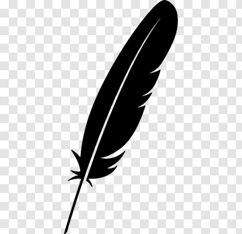 Feather - Plant - Writing Implement Transparent PNG