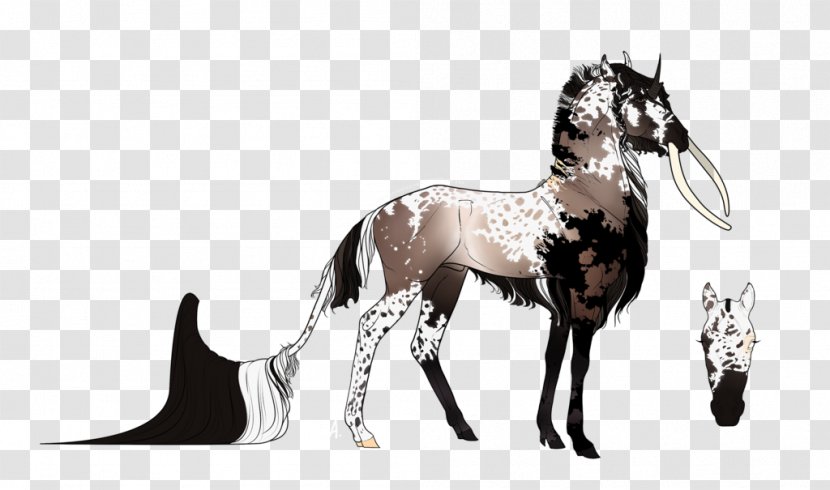 Mustang Foal Stallion Colt Pony - Mane - Odd Transparent PNG