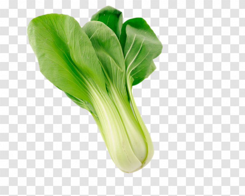 Napa Cabbage Organic Food Vegetable Bok Choy - Green Transparent PNG