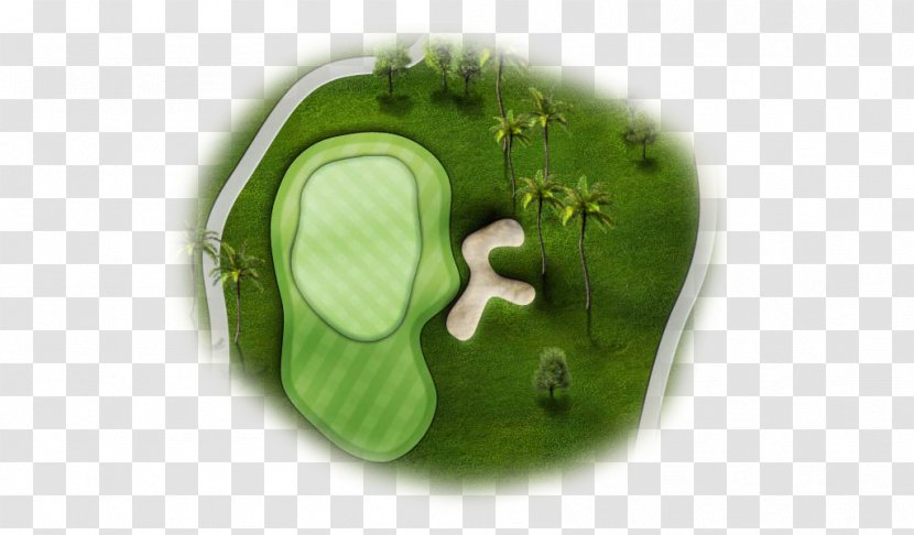 Green - Shot Hole Transparent PNG