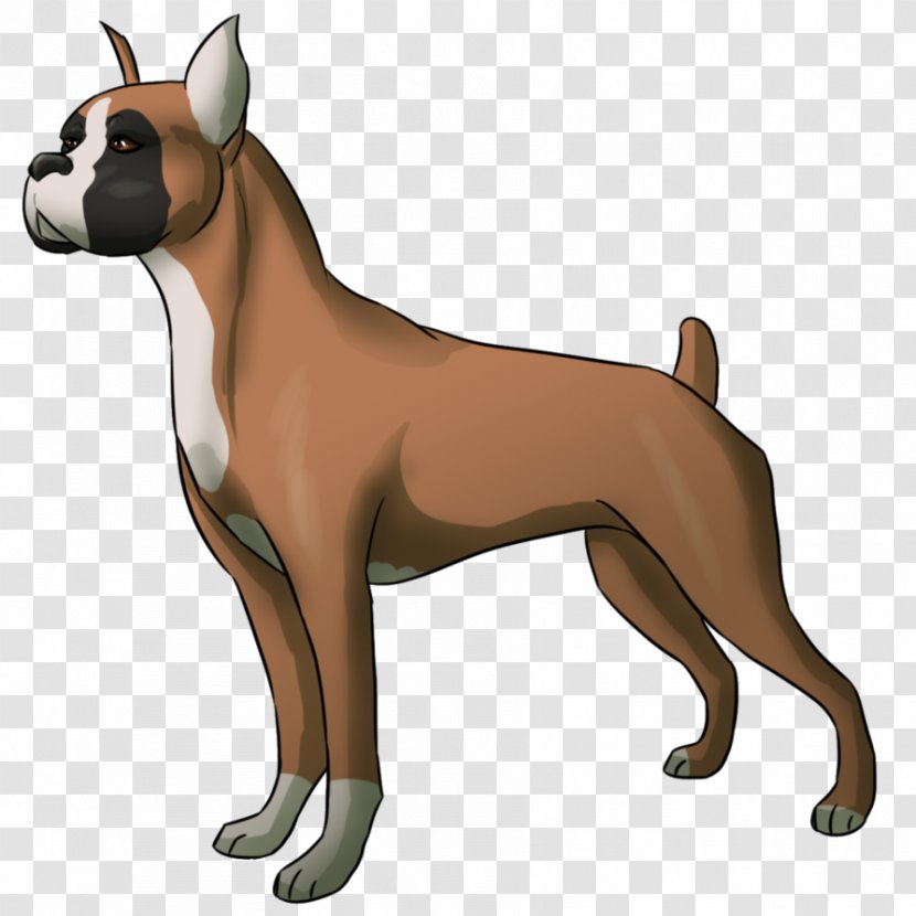 Ancient Dog Breeds Boxer Snout Breed Group (dog) - Vertebrate - Droopy Transparent PNG