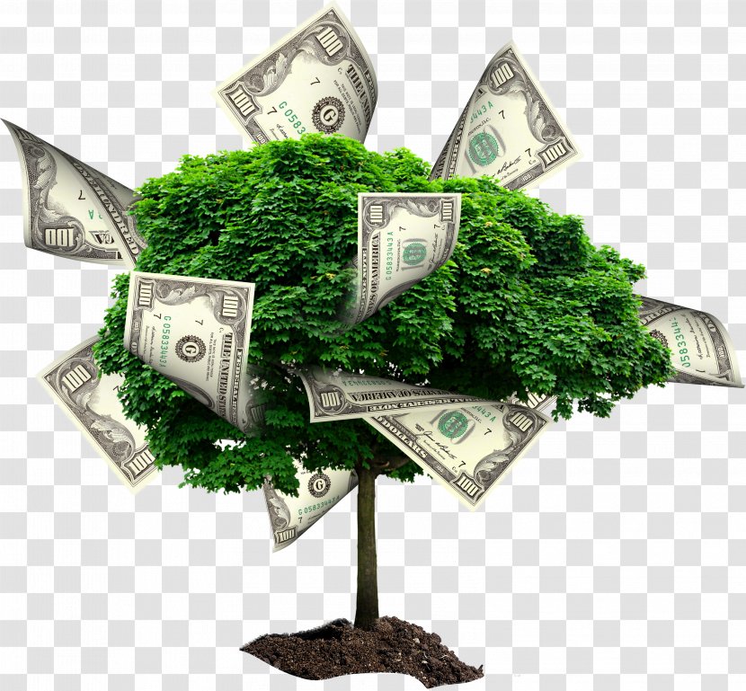 Money Stock Photography Finance Investment Saving - Moneytree Transparent PNG