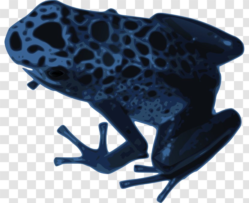 Blue Poison Dart Frog Clip Art - Organism - Newt Clipart Transparent PNG