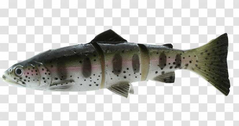 Swimbait Rainbow Trout Fishing Baits & Lures - Weight - Sardine Transparent PNG