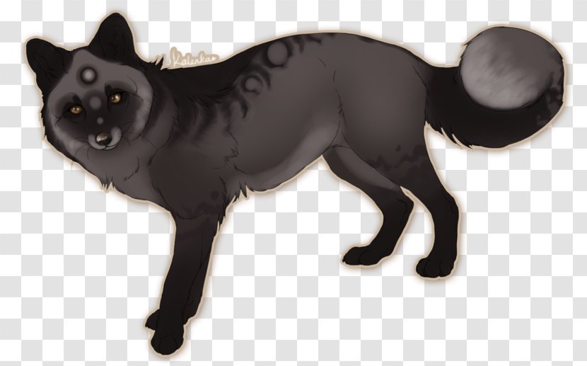 Silver Fox Whiskers Drawing Painting Art Transparent PNG