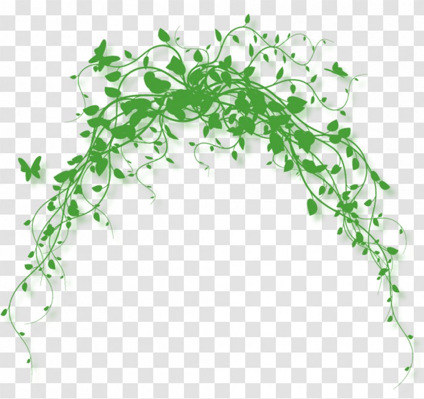 Green Butterfly Vine - Shoelace Knot - Leaves Transparent PNG