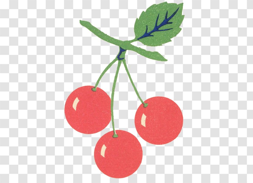 Cherry Clip Art - Fruit - Cerry Transparent PNG