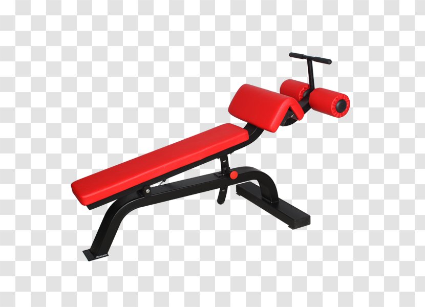 Bench Fitness Centre Sit-up Exercise Equipment Physical - Weights - Fly Transparent PNG