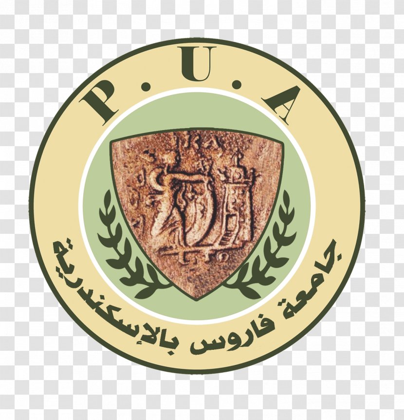 Alexandria Higher Institute Of Engineering And Technology Pharos University In Misr For Science - Lecturer - Pua Kumbu Transparent PNG