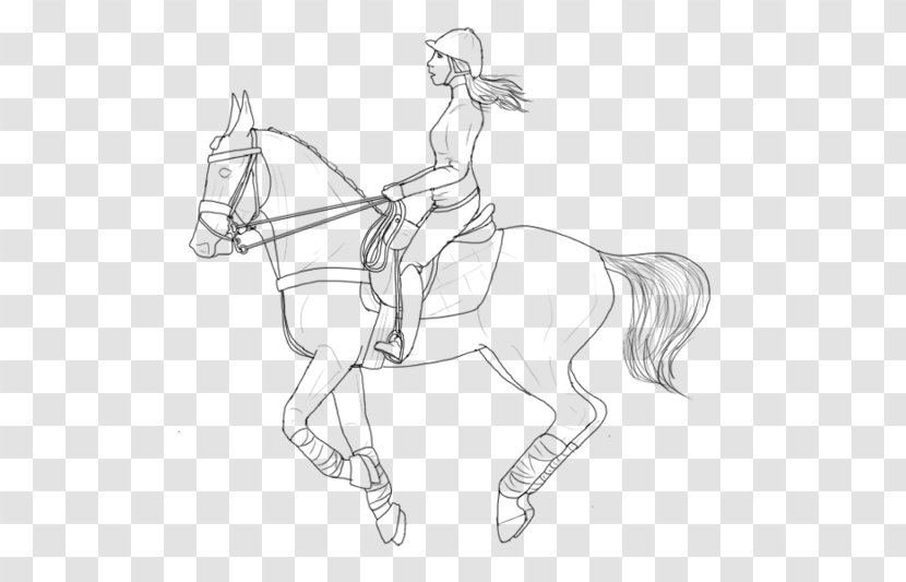 American Paint Horse Pony Line Art Tack Rearing - Joint - Riding Transparent PNG
