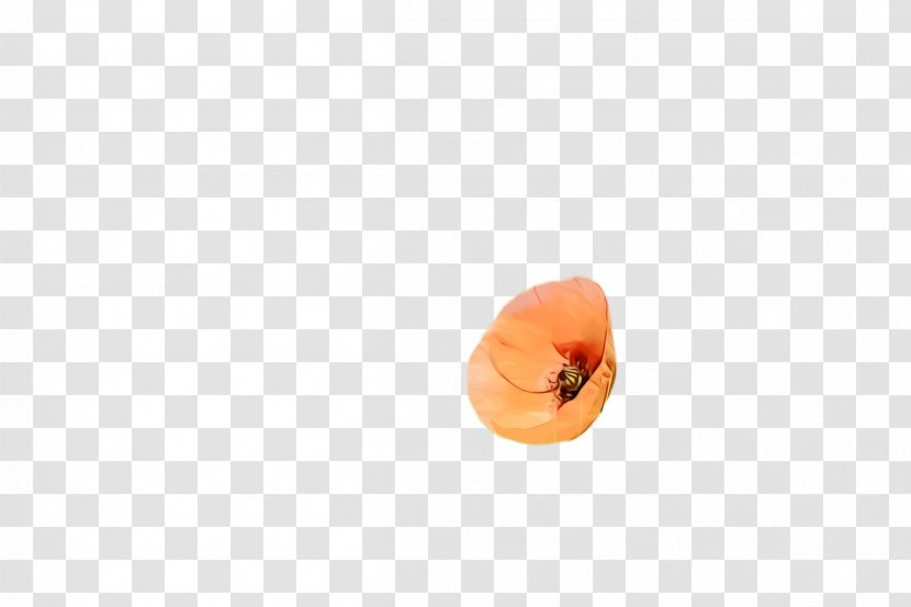 Blossom Flower - Persimmon - Peach Transparent PNG