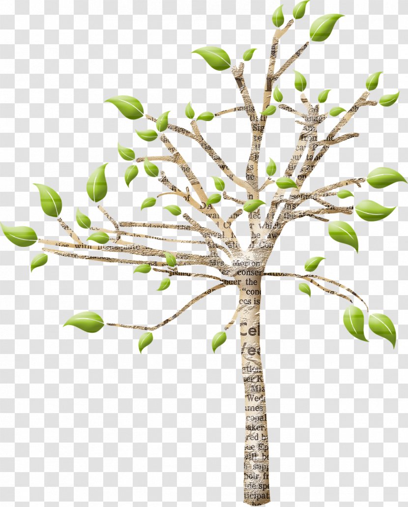 Twig Tree Plant Stem Houseplant Transparent PNG