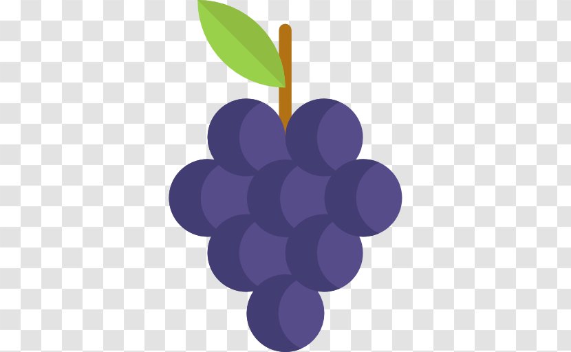 Grapevines Berry Food - Purple - Grape Transparent PNG