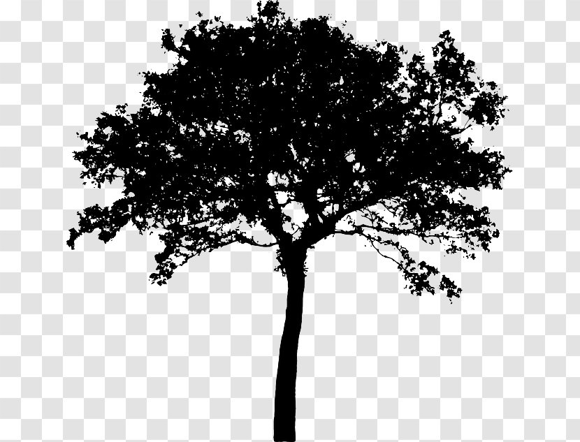 Silhouette Tree Clip Art - Potted Vector Transparent PNG