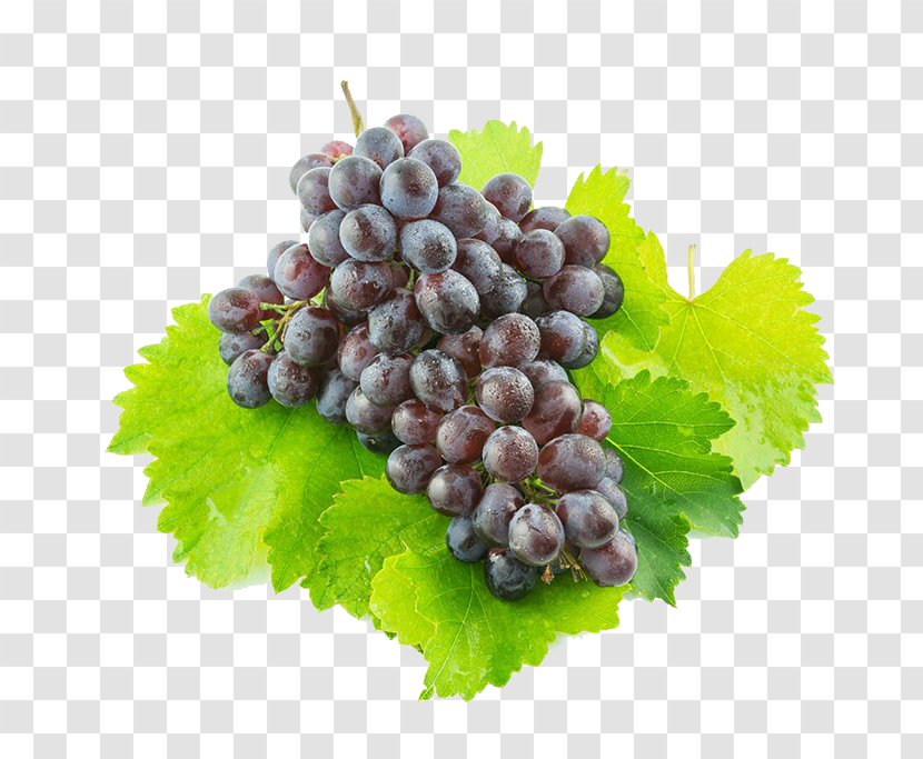 Sultana Juice Grape Zante Currant - Superfood - A Bunch Of Grapes Transparent PNG