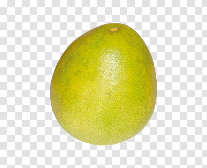 Key Lime Sweet Lemon Citron - Pomelo - Grapefruit Transparent PNG