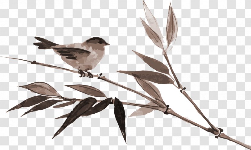 Bamboo Ink Wash Painting Drawing - Nightingale - Brown Bird Transparent PNG