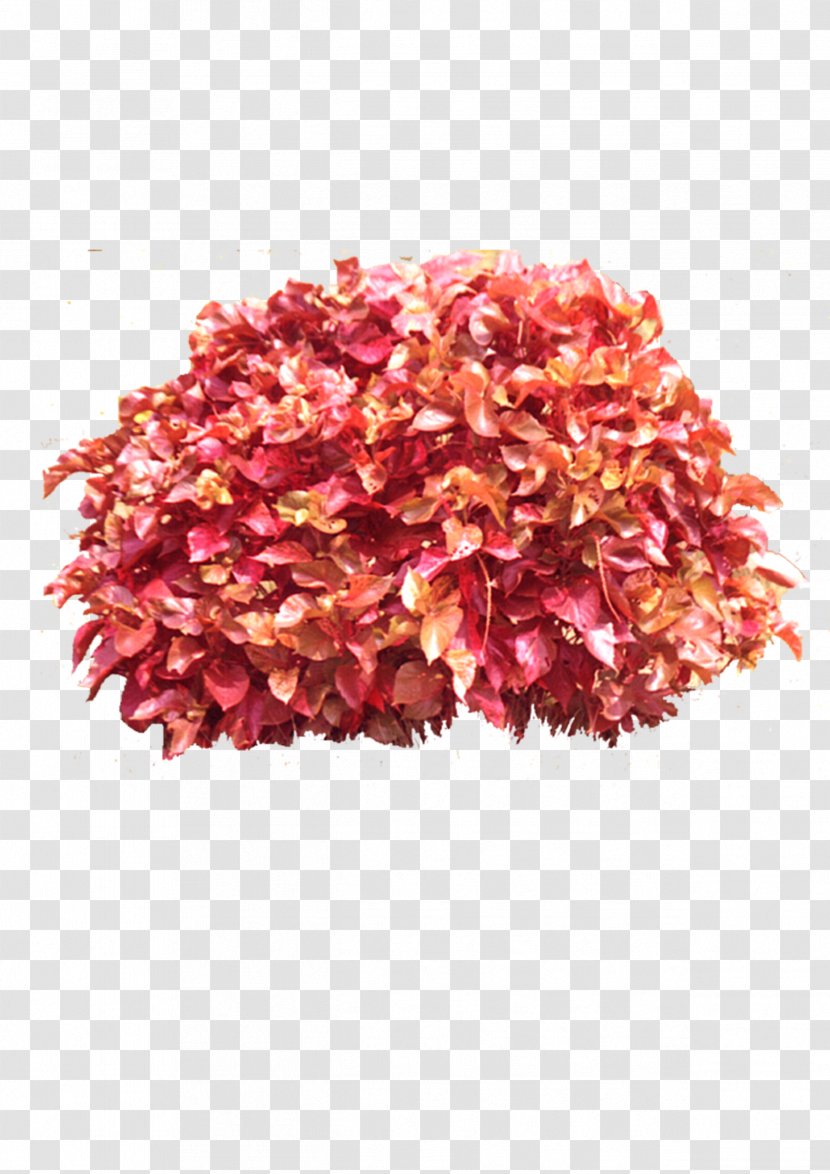 Download Icon - Leaf - Red Bouquet Transparent PNG