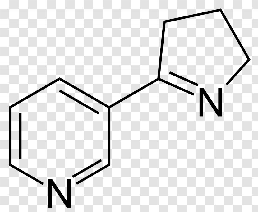 Molecule Phenethylamine Chemistry Chemical Formula Ethyl Phenyl Ether - Frame - Tobacco Plant Transparent PNG