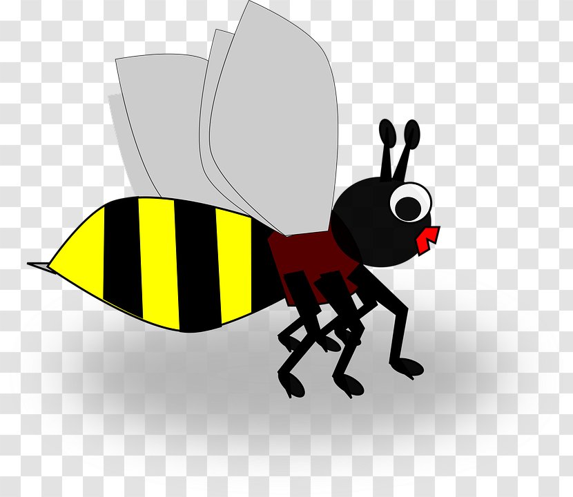 Honey Bee Insect Hornet - Yellow Transparent PNG