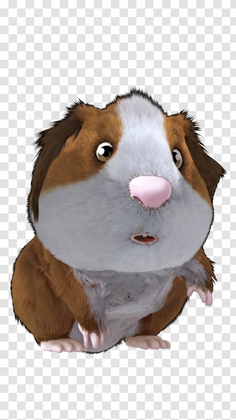 Guinea Pig Stuffed Animals & Cuddly Toys Snout Transparent PNG