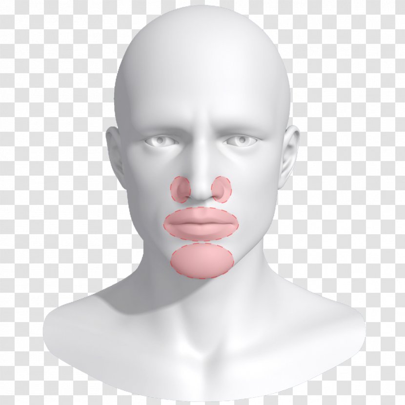 Nose Cheek Chin Forehead - Mouth Transparent PNG