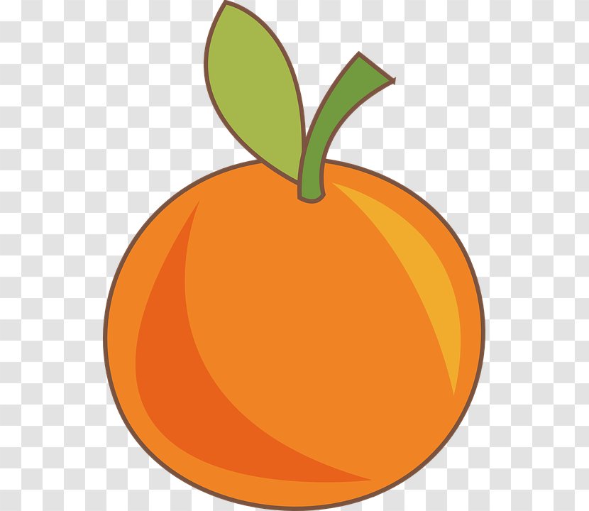Orange S.A. Fruit Food Drawing Transparent PNG