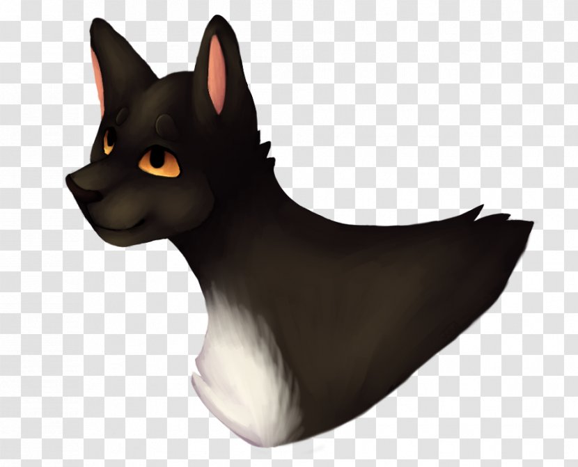 Whiskers Dog Breed Cat Snout - Carnivoran Transparent PNG
